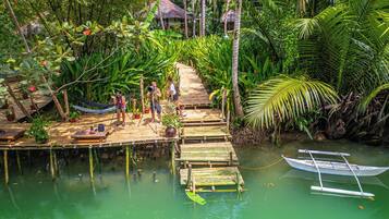 Eine hölzerne Pier, die sich in ein grünes Gewässer erstreckt, umgeben von üppiger tropischer Vegetation.