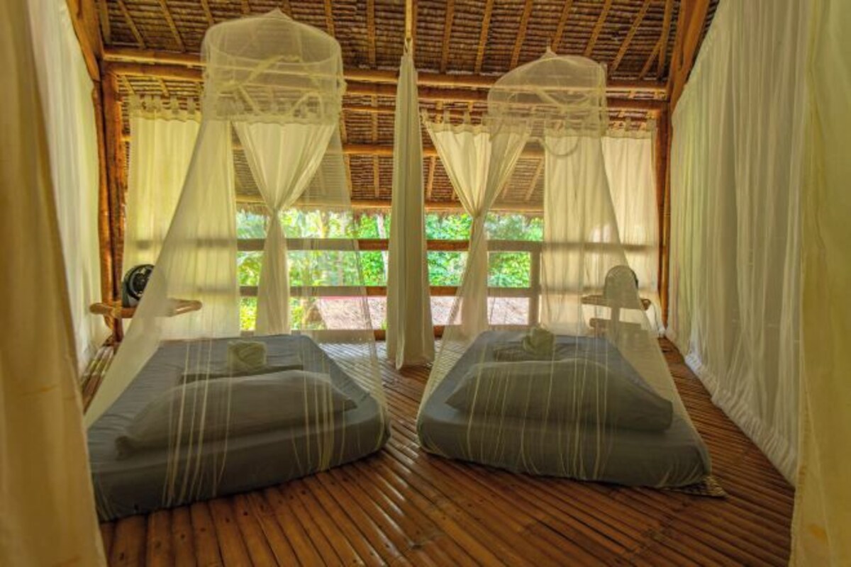 A room with two beds, each with a canopy, wooden flooring, and a view of greenery outside.