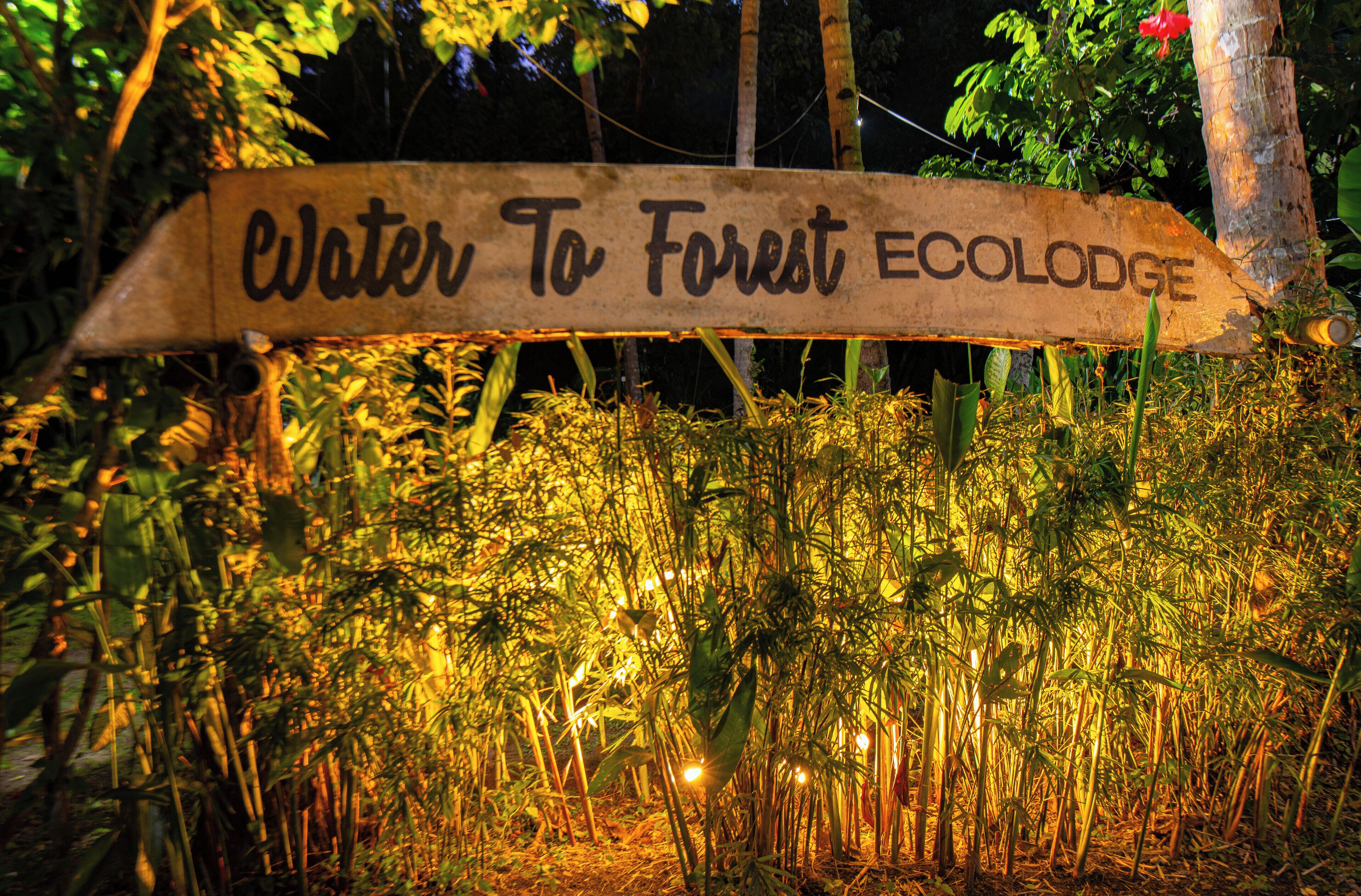 A wooden sign with the text "Water To Forest ECOLODE" amidst dense vegetation.