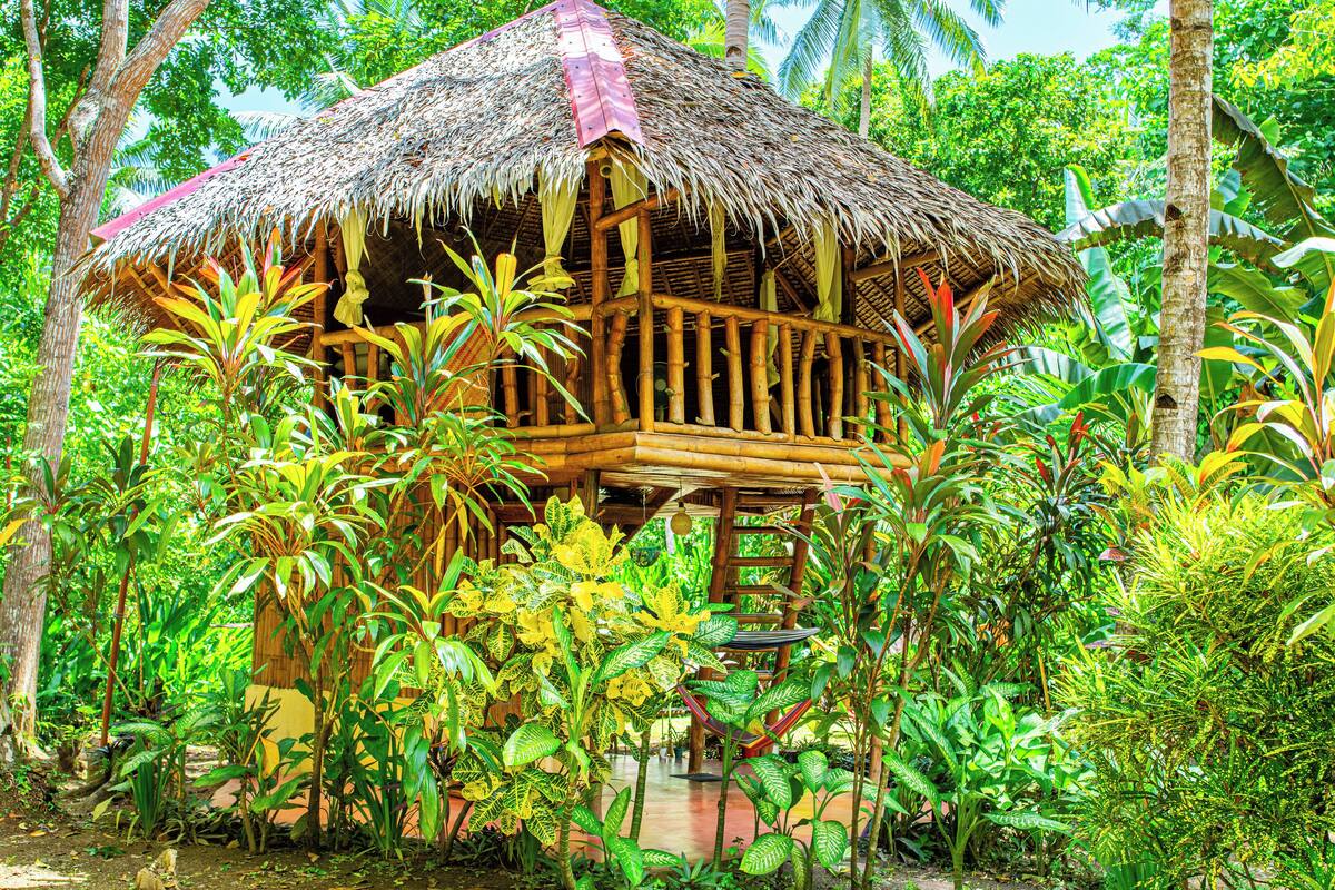 A thatched-roof structure surrounded by lush tropical vegetation.