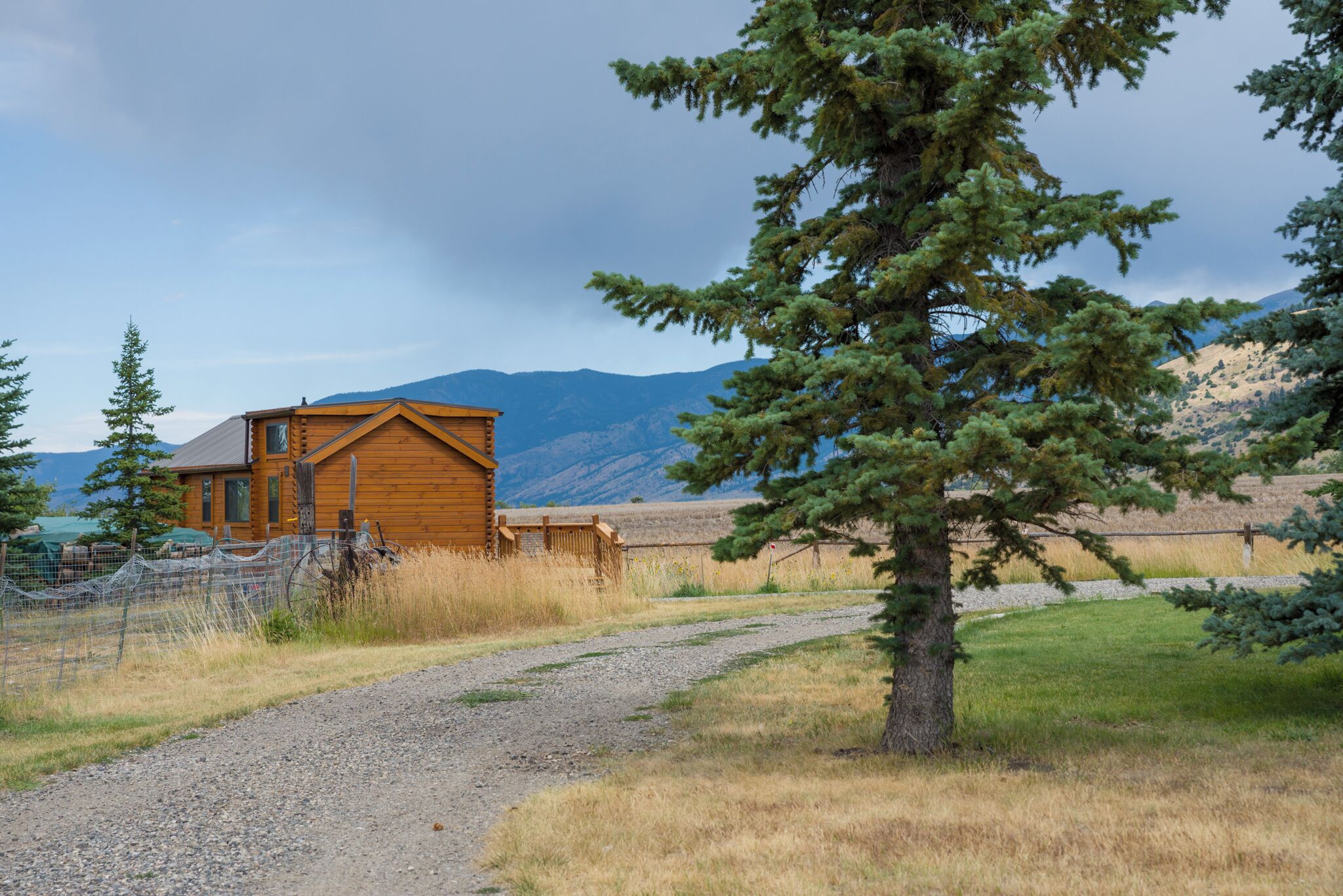 A wooden cabin with a gravel path leading to it, surrounded by grass and trees.