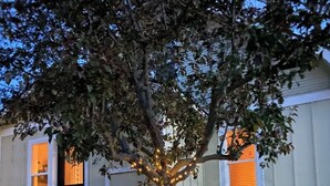 Ett träd dekorerat med ljusslingor, en planteringslåda i betong och ett hus med vit fasad och ett fönster med orange persienner.