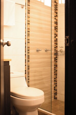 Hair dryer, towels, soap, toilet paper