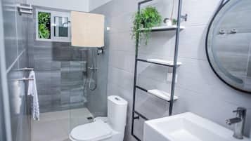 Ducha, secador de pelo, toallas, jabón