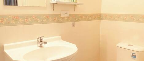 A bathroom with a sink, toilet, and a mirror.