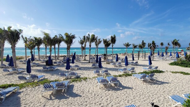 Een strand met rijen ligbedden en parasols, palmbomen en een helderblauwe lucht.