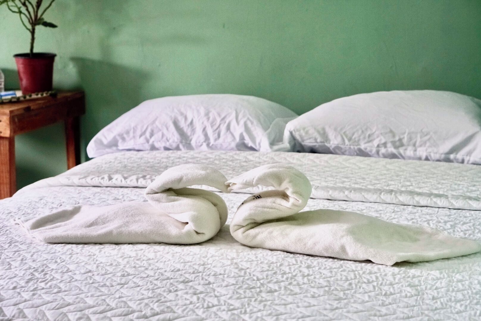 Foto - Dreamer's Hostel