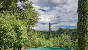 A swimming pool surrounded by lush greenery and trees, with a view of a distant town.