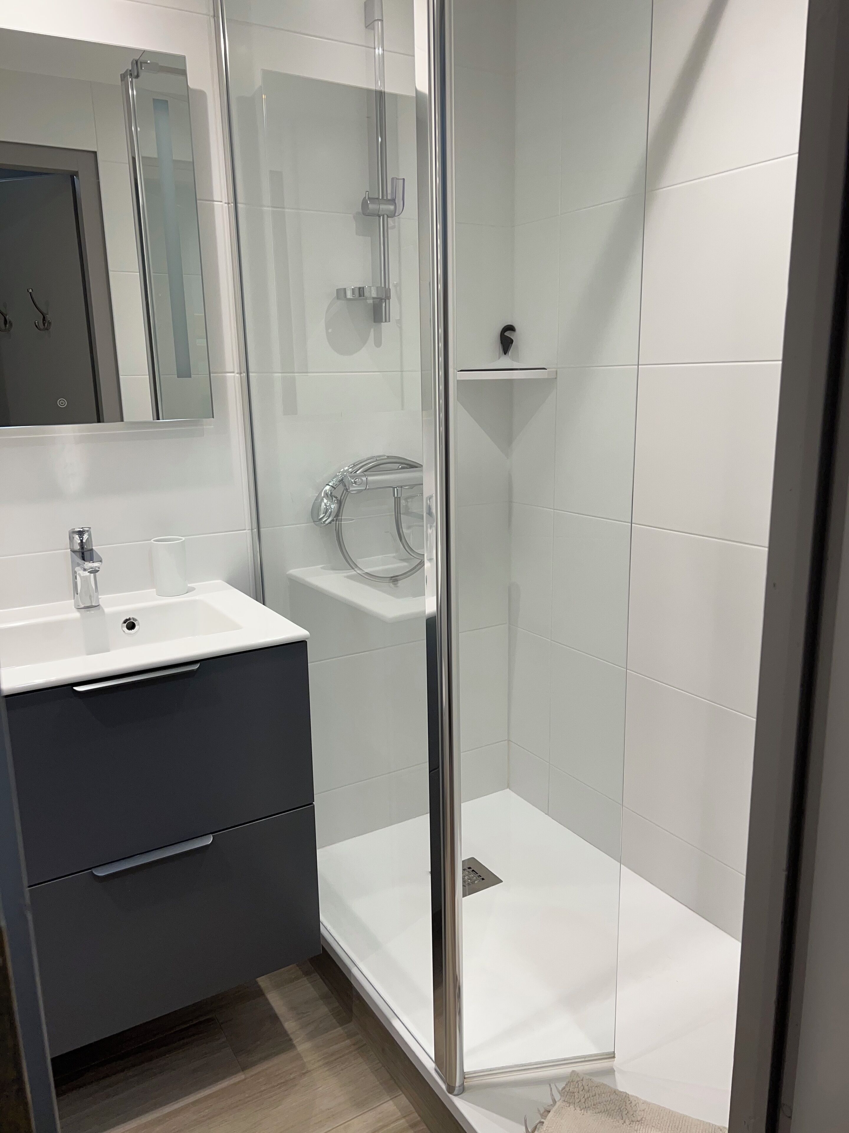 A modern bathroom with a glass-enclosed shower, a white sink, and a mirror above the vanity.