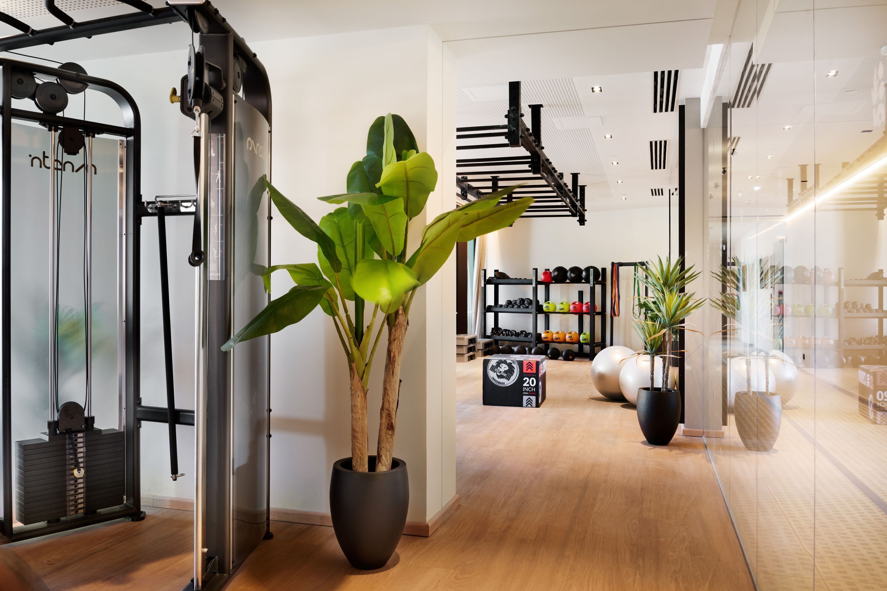 A modern gym with exercise equipment, a large potted plant, and a shoe display.