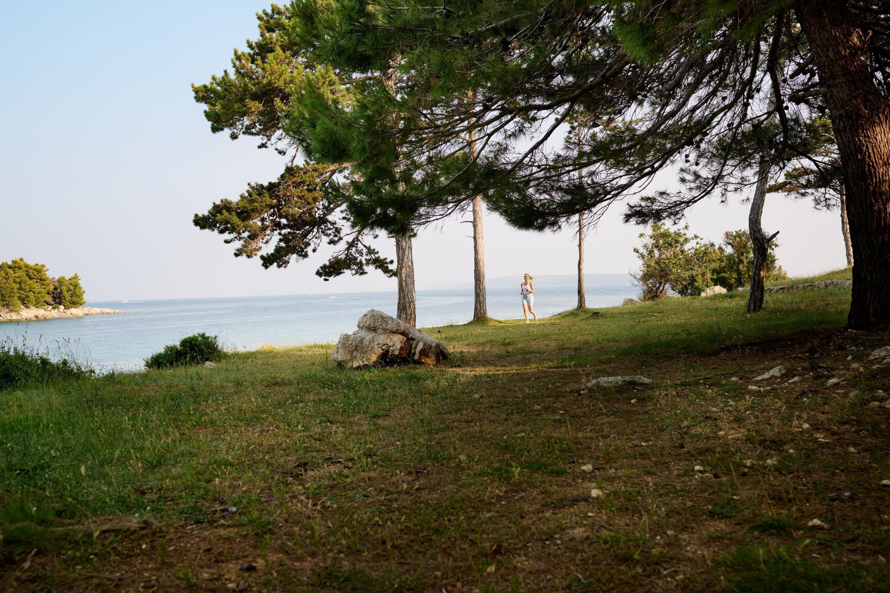 A grassy area with trees and a body of water in the background.