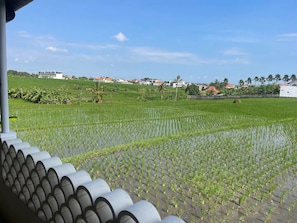 View from property - Casa Lama Oasis (Badung Bali)
