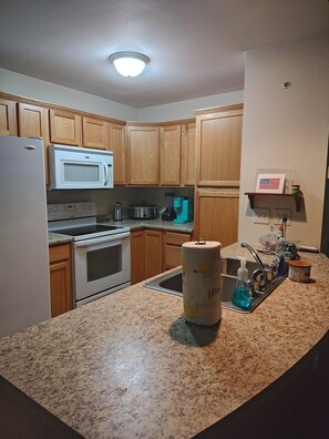 Frigorífico, microondas, horno y placa de cocina