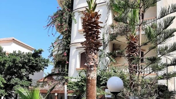 A residential building with a white facade, a balcony, and a palm tree in the foreground. - Hotel Plage d'or (Jijel)