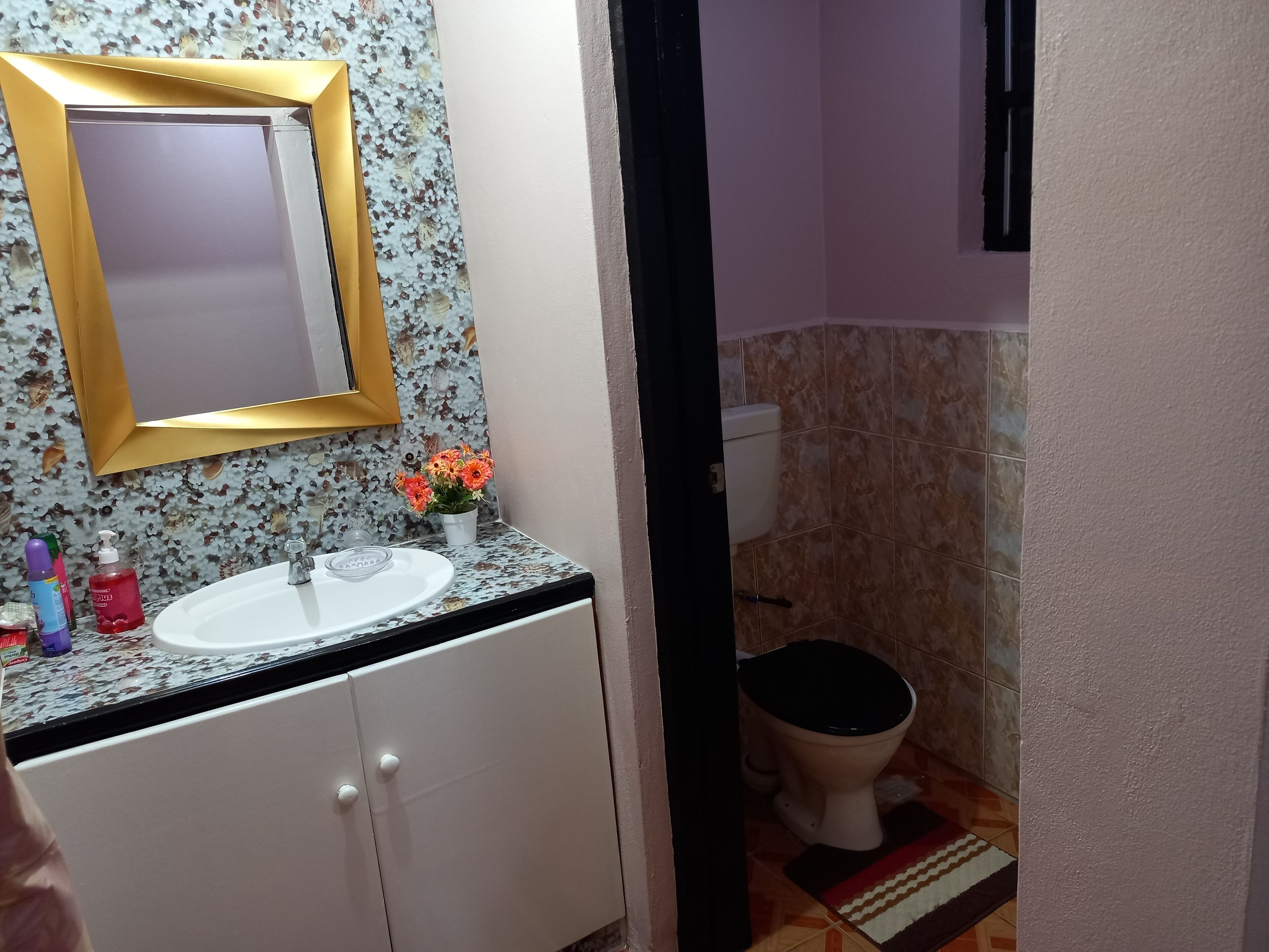 Shower, towels, soap, shampoo