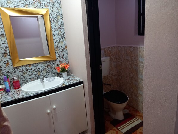 Une salle de bain avec un lavabo blanc, un miroir avec un cadre doré, des toilettes et une petite plante en pot ornée de fleurs oranges.