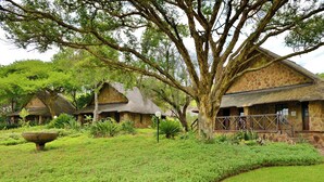 Suite | View from room - Zenara Lodge 1 (Vaalwater)