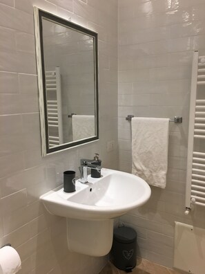Shower, hair dryer, bidet, towels