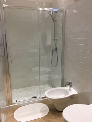 Shower, hair dryer, bidet, towels