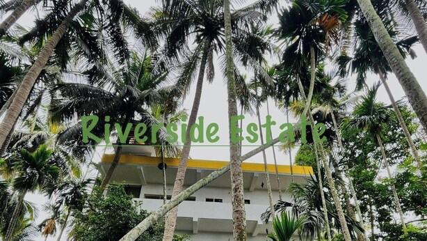 A multi-story building surrounded by lush greenery and palm trees, with a sign reading "Riverside Estate".