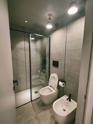 Douche, séchoir à cheveux, bidet, serviettes fournies