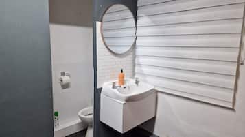 Shower, towels, shampoo, toilet paper