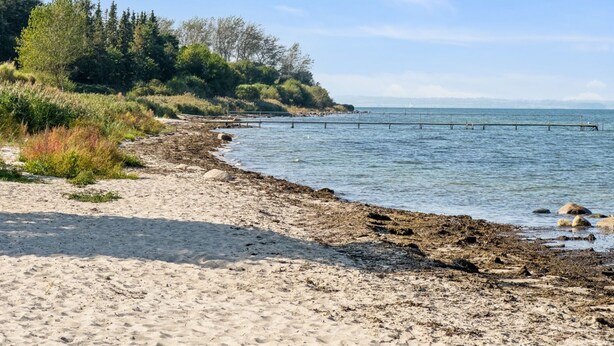 A sandy beach with a wooden pier extending into calm waters, surrounded by dense greenery and trees. - "Todor" - 150m from the sea by Interhome (Nordborg)