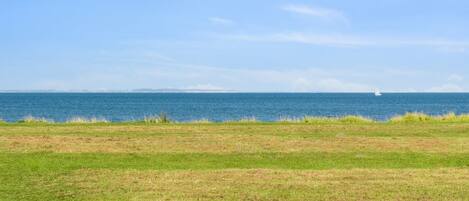 A grassy field with a view of the ocean and a distant sailboat.