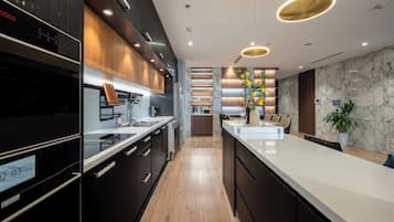 Superior Apartment, 4 Bedrooms, Kitchen, City View | Private kitchen | Fridge, microwave, stovetop, electric kettle