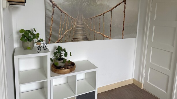 Ein Zimmer mit weißer Wand, einem Regal mit Pflanzen, einem kleinen Fahrrad und einem Gemälde einer Seilbrücke.