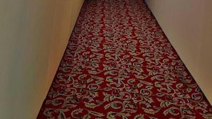 A hallway with a red patterned carpet, white walls, and floral wall art. - Divya Prayag Kumbh Camp  (Karchana)