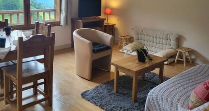 Chez Virginie ~ Cocon familial pied des pistes