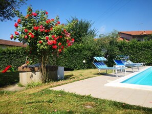 Seasonal outdoor pool - Franco house with pool (Castelfranco di Sotto)