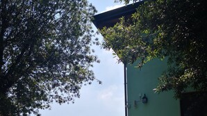 庭園
