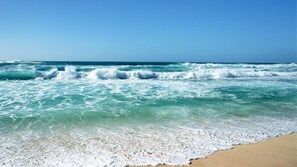 A beach with waves crashing onto the shore. - Beach lodge motel  (Dunedin)