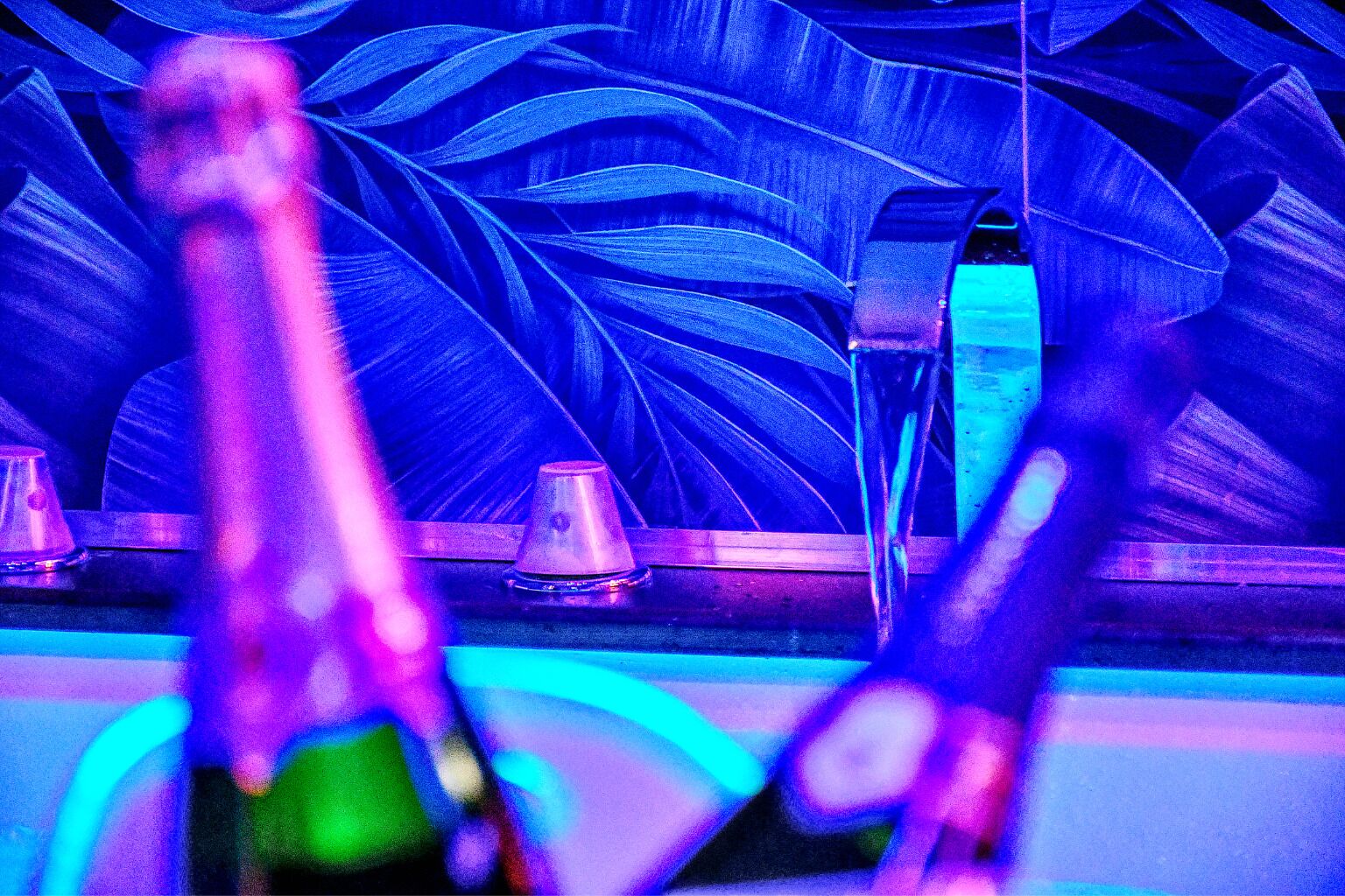 Zona de bar con botellas y vasos, una barra de madera y un fondo de hojas grandes.