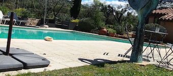 10 persons accommodation: spacious 6 pers villa + 4pers Cabanon in Aups (Provence)