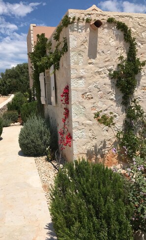 Detalle exterior
