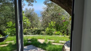 Un jardín con un sendero de piedra, abundante vegetación y árboles.