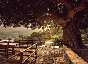 An outdoor seating area with tables and chairs under a large tree, overlooking a hilly landscape.