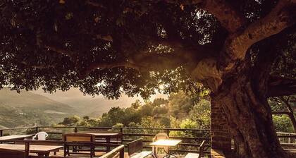 Casale storico nella campagna cilentana