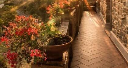 Casale I Cirillo: Primula & Iberide Florida