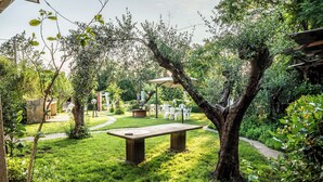Un jardín con un banco de piedra, un sendero y mobiliario exterior.