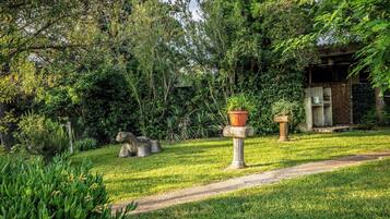 Stroll through the serene garden, surrounded by lush greenery and a rustic cabin.