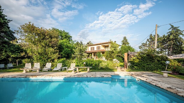 Una piscina con sillas de descanso, rodeada de exuberante vegetación y una casa al fondo.