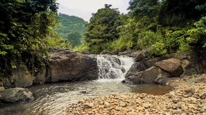 Una cascada natural rodeada de rocas y exuberante vegetación.