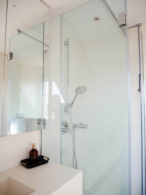 Shower, hair dryer, towels