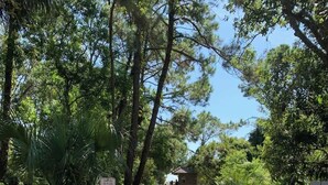 Un pont en bois, doté de garde-corps métalliques, entouré d’arbres et de verdure.