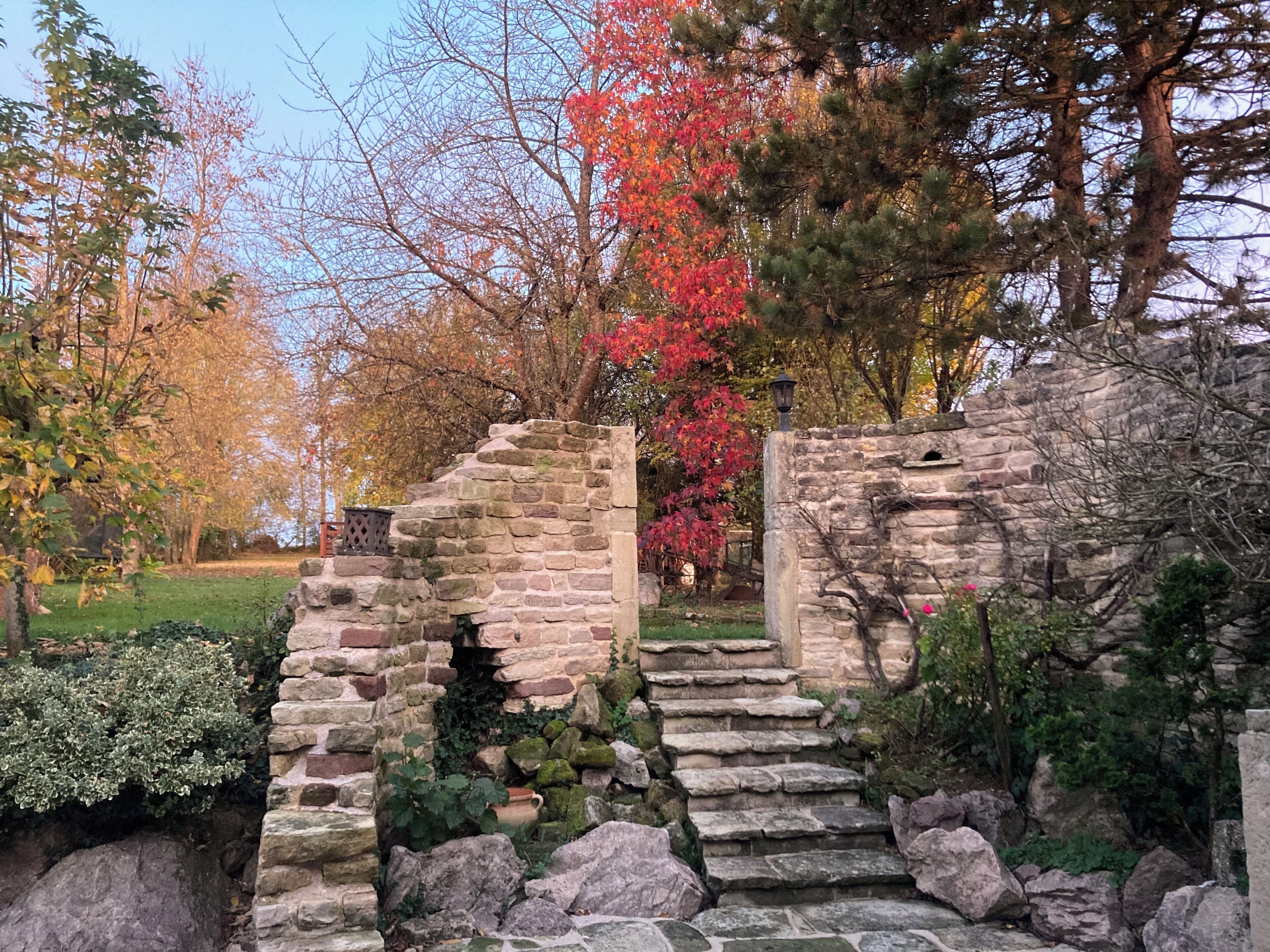 Jardin