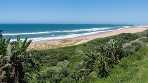 A coastal landscape with a beach, ocean, and dense greenery.